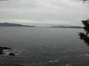 ./images/koeye/fitz-hugh/20191023/fitz-hugh20191023_103501.jpg