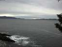 ./images/koeye/fitz-hugh/20191023/fitz-hugh20191023_144001.jpg