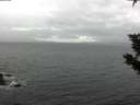 ./images/koeye/fitz-hugh/20191024/fitz-hugh20191024_092502.jpg