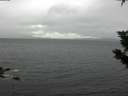./images/koeye/fitz-hugh/20191024/fitz-hugh20191024_094002.jpg
