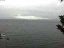./images/koeye/fitz-hugh/20191024/fitz-hugh20191024_094501.jpg