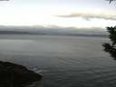 ./images/koeye/fitz-hugh/20191028/fitz-hugh20191028_074501.jpg