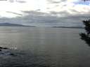 ./images/koeye/fitz-hugh/20191029/fitz-hugh20191029_121001.jpg