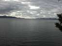 ./images/koeye/fitz-hugh/20191029/fitz-hugh20191029_132502.jpg