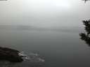 ./images/koeye/fitz-hugh/20191031/fitz-hugh20191031_082002.jpg