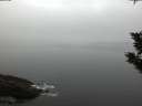./images/koeye/fitz-hugh/20191031/fitz-hugh20191031_082502.jpg
