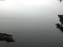./images/koeye/fitz-hugh/20191102/fitz-hugh20191102_084502.jpg