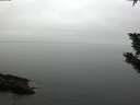 ./images/koeye/fitz-hugh/20191102/fitz-hugh20191102_093502.jpg