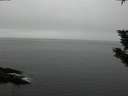 ./images/koeye/fitz-hugh/20191102/fitz-hugh20191102_133501.jpg
