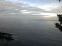 ./images/koeye/fitz-hugh/20191103/fitz-hugh20191103_081001.jpg