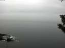 ./images/koeye/fitz-hugh/20191104/fitz-hugh20191104_082001.jpg