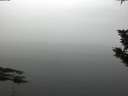 ./images/koeye/fitz-hugh/20191104/fitz-hugh20191104_083501.jpg