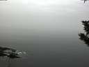 ./images/koeye/fitz-hugh/20191104/fitz-hugh20191104_084501.jpg