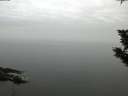 ./images/koeye/fitz-hugh/20191104/fitz-hugh20191104_085501.jpg