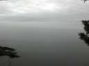 ./images/koeye/fitz-hugh/20191104/fitz-hugh20191104_090501.jpg