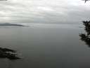 ./images/koeye/fitz-hugh/20191104/fitz-hugh20191104_095002.jpg