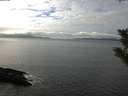 ./images/koeye/fitz-hugh/20191104/fitz-hugh20191104_124502.jpg