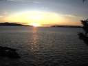 ./images/koeye/fitz-hugh/20191105/fitz-hugh20191105_165002.jpg