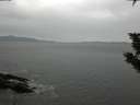 ./images/koeye/fitz-hugh/20191107/fitz-hugh20191107_125502.jpg