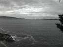 ./images/koeye/fitz-hugh/20191108/fitz-hugh20191108_070502.jpg