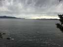 ./images/koeye/fitz-hugh/20191108/fitz-hugh20191108_085501.jpg
