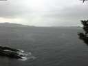 ./images/koeye/fitz-hugh/20191114/fitz-hugh20191114_090501.jpg
