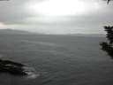 ./images/koeye/fitz-hugh/20191114/fitz-hugh20191114_091501.jpg
