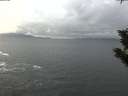 ./images/koeye/fitz-hugh/20191115/fitz-hugh20191115_140002.jpg