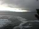 ./images/koeye/fitz-hugh/20191125/fitz-hugh20191125_110501.jpg