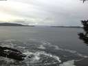 ./images/koeye/fitz-hugh/20191126/fitz-hugh20191126_074501.jpg