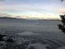 ./images/koeye/fitz-hugh/20191126/fitz-hugh20191126_085002.jpg