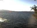./images/koeye/fitz-hugh/20191127/fitz-hugh20191127_124002.jpg