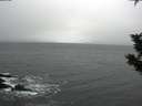 ./images/koeye/fitz-hugh/20191203/fitz-hugh20191203_094502.jpg