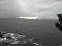 ./images/koeye/fitz-hugh/20191203/fitz-hugh20191203_164001.jpg