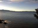 ./images/koeye/fitz-hugh/20191207/fitz-hugh20191207_121502.jpg