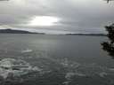 ./images/koeye/fitz-hugh/20191215/fitz-hugh20191215_164001.jpg