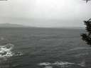 ./images/koeye/fitz-hugh/20191226/fitz-hugh20191226_105502.jpg