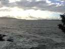 ./images/koeye/fitz-hugh/20200101/fitz-hugh20200101_143501.jpg