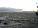 ./images/koeye/fitz-hugh/20200101/fitz-hugh20200101_164001.jpg
