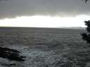 ./images/koeye/fitz-hugh/20200105/fitz-hugh20200105_140501.jpg