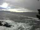 ./images/koeye/fitz-hugh/20200105/fitz-hugh20200105_150502.jpg