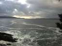 ./images/koeye/fitz-hugh/20200105/fitz-hugh20200105_153001.jpg