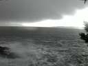./images/koeye/fitz-hugh/20200105/fitz-hugh20200105_171002.jpg