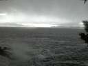 ./images/koeye/fitz-hugh/20200105/fitz-hugh20200105_171502.jpg