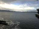 ./images/koeye/fitz-hugh/20200106/fitz-hugh20200106_124501.jpg
