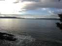 ./images/koeye/fitz-hugh/20200106/fitz-hugh20200106_133002.jpg