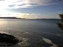./images/koeye/fitz-hugh/20200106/fitz-hugh20200106_143502.jpg