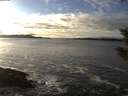 ./images/koeye/fitz-hugh/20200106/fitz-hugh20200106_150501.jpg