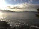 ./images/koeye/fitz-hugh/20200106/fitz-hugh20200106_151001.jpg