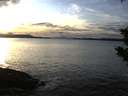 ./images/koeye/fitz-hugh/20200106/fitz-hugh20200106_154501.jpg